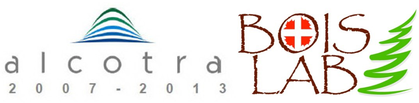 Bois Lab Logo